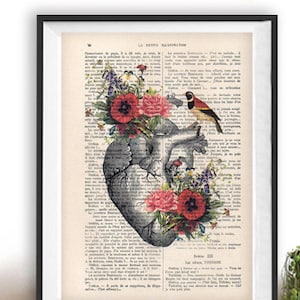 Heart Flower Anatomy Print, Human, Anatomy art, love, science wall decor, art print, vintage drawing, book art, Bird, gift for her, wall art