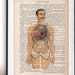 see more listings in the Anatomy/Science section