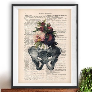 Botanic Peony Pelvic Anatomy Print on 1900 vintage floral page, Doctor gift, Anatomy Illustration, human anatomy art, science drawing, love