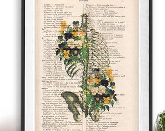 Anatomy Rib Cage Print Flower French Art Illustration Dictionary Page Vintage Drawing 1900 Doctor gift science Christmas gift pansy