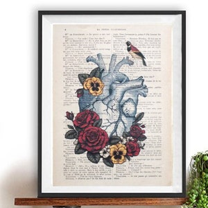 Heart Flower Anatomy Print, Human, Anatomy art, love, science wall decor, art print, vintage drawing, book art, Bird, gift for her, wall art