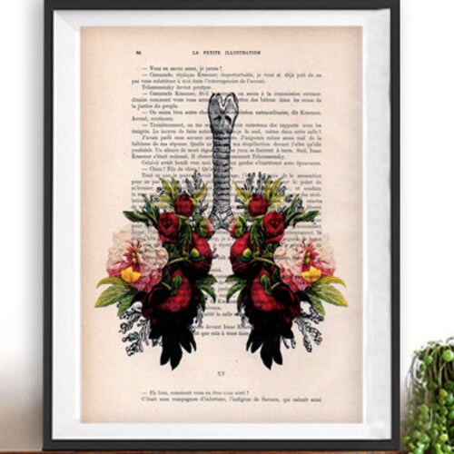 Botanic Peony Lungs Anatomy Print on 1900 vintage floral page, Doctor gift, Anatomy Illustration, human anatomy art, science drawing, love