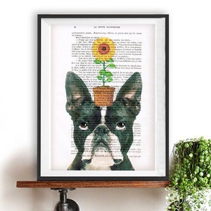 Boston Terrier,sunflower, Christmas gift,Boston Terrier lovers, French design, black and white,bulldog poster, recycled french book page
