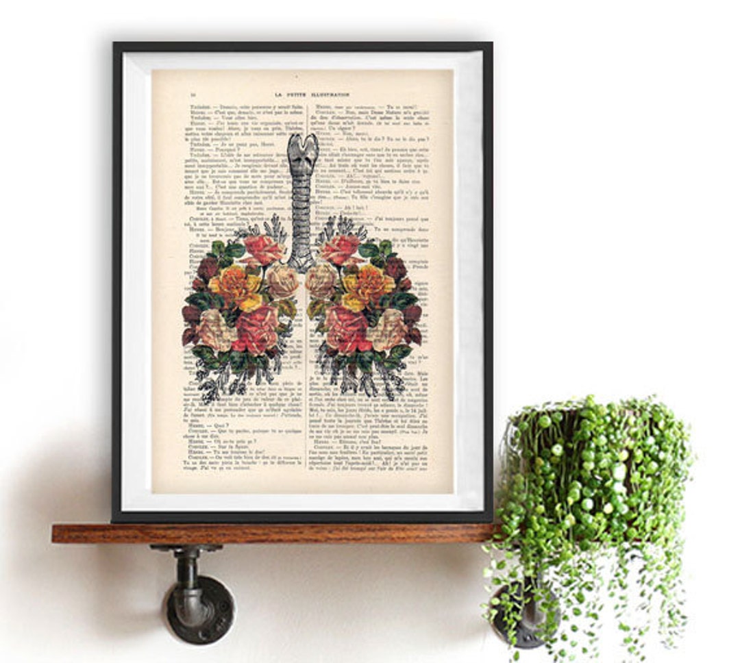 Botanic Roses Lungs Anatomy Print on 1900 Vintage Floral Page, Doctor ...
