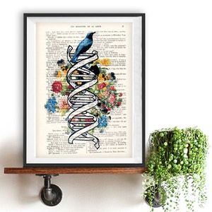 Stampa artistica del DNA, cimelio, laboratorio, scienza vintage, stampa floreale, stampa di uccelli, stampa vintage su carta riciclata, arte retrò