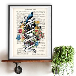 DNA art print,cimestry, laboratory, vintage science, flower print, bird print, vintage print on recycled paper, retro art