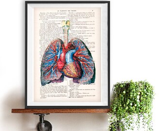 Vintage Lungs Anatomy Print on 1900 vintage floral page, Doctor gift, Anatomy Illustration, human anatomy art, science drawing, love