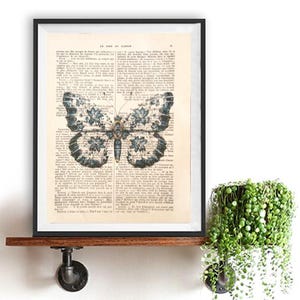 Farfalla blu bianca floreale, arte di insetti, decorazione naturalistica, stampa di coleotteri, carta vintage, stampa artistica da parete, poster d'arte francese d'epoca