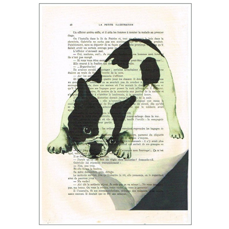 banksy art america modern art Bulldog folding paper,frenchie,art,deviant art,pop art,art attack,art deco,wall art,artist fine art