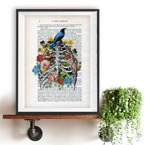 Anatomy Rib Cage Print Flower Bird Art Illustration Dictionary Page Vintage Drawing 1900 Doctor gift Illustration science Christmas gift him