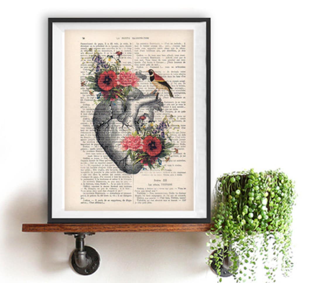 Heart Flower Anatomy Print, Human, Anatomy Art, Love, Science Wall Decor, Art  Print, Vintage Drawing, Book Art, Bird, Gift for Her, Wall Art - Etsy