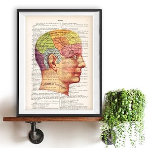 A Picture Of Good Health Human Head Color Phrenology, anatomy print, christmas gift