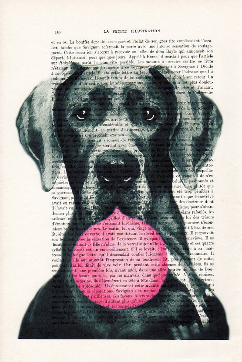 Great dane print, Great Dane art, bubblegum, dog with bubblegum, vintage paper, dog poster, dog print, dog illustration, dog drawing image 2