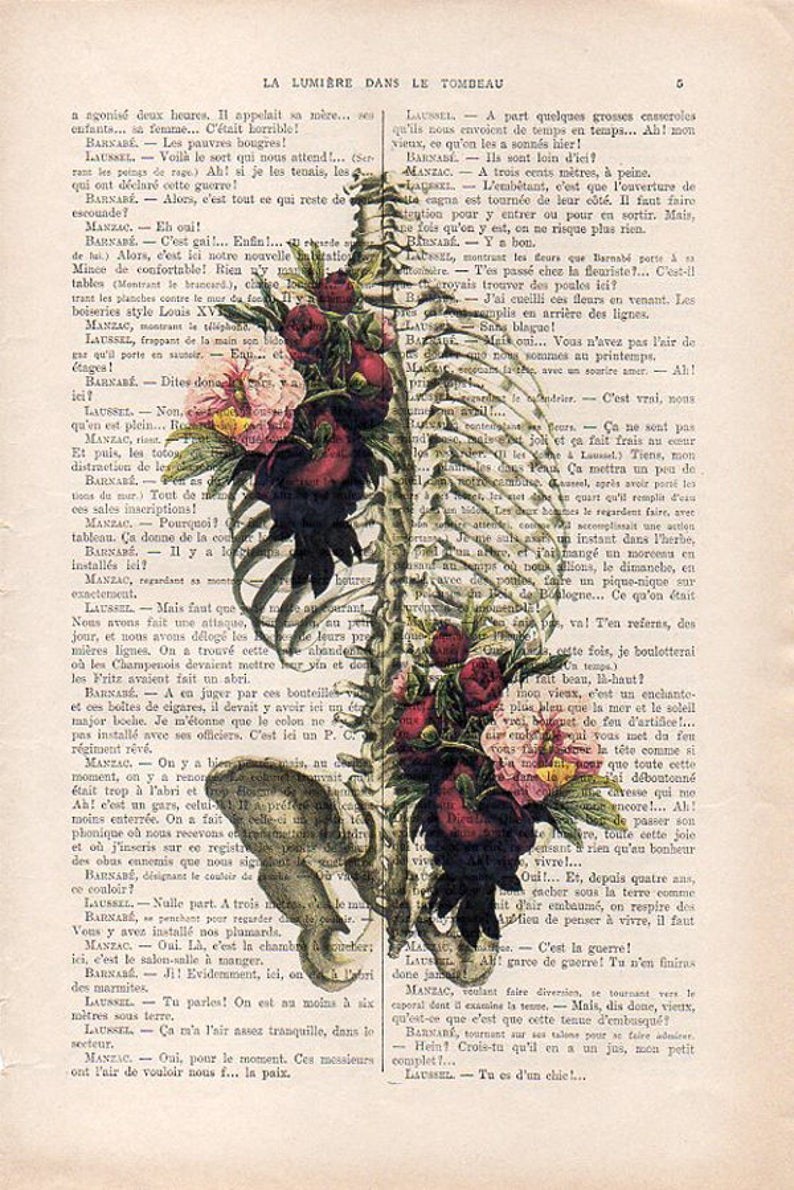 Anatomy Rib Cage Print Flower Bird Art Illustration Dictionary Etsy
