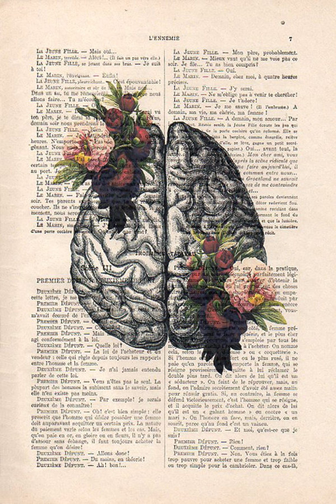 Brain Art Print on 1900 Vintage Page Botanical Flowers Posters Drawing ...