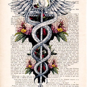 Symbole du caducée, art médical, médecine, affiche du bâton d'Asclépios, art du bureau du médecin, impression d'art Doctor Symbol, Dr. Symbol image 2