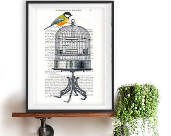 Bird cage print with yellow bird, vintage image, free like a bird, paris magazine