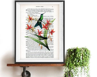 Hummingbird Collage Print on Vintage Dictionary Book altered art dictionary page illustration book print art Christmas gift