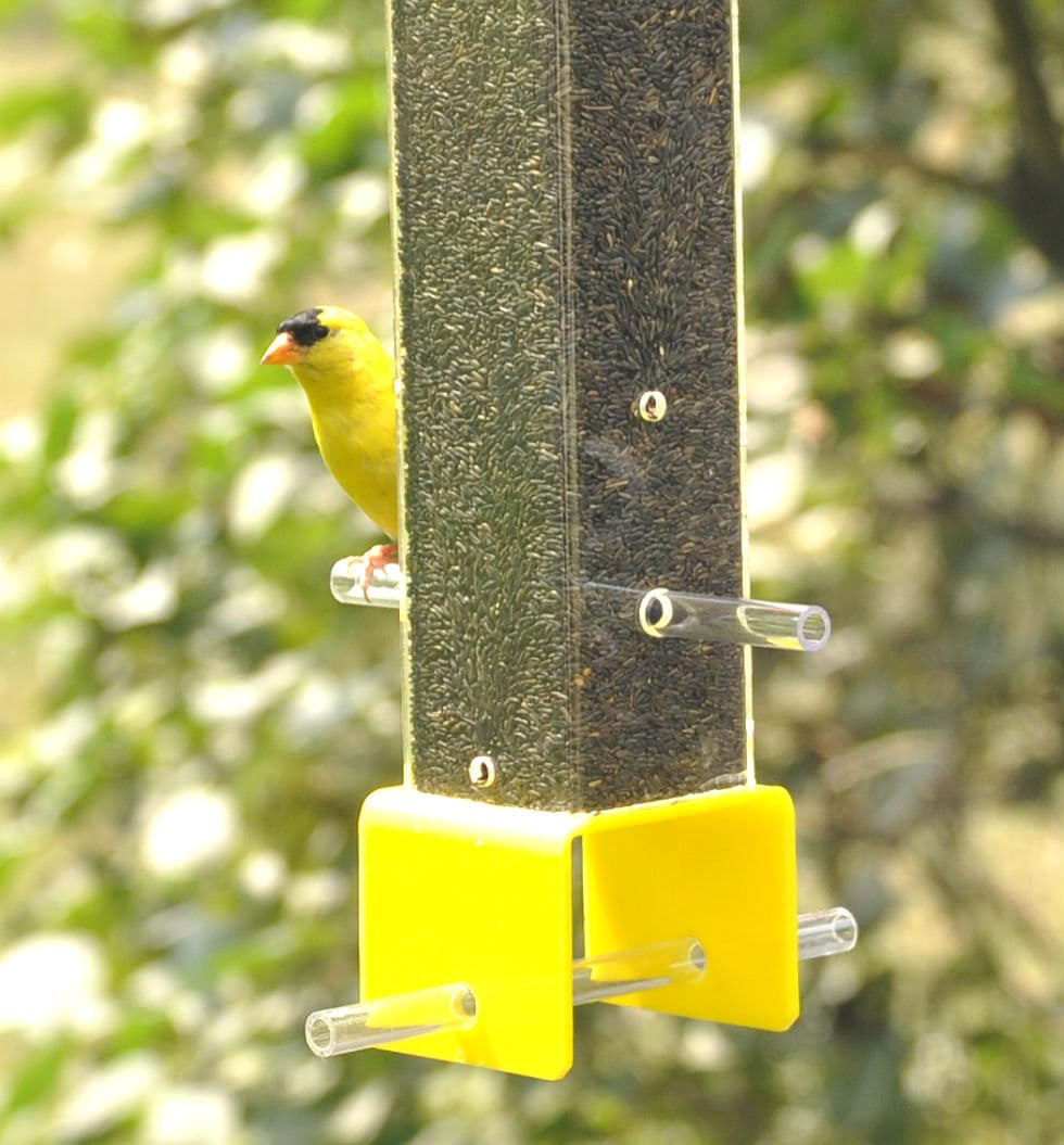 Peter's Feeders T01 Finch Feeder The economical and Etsy