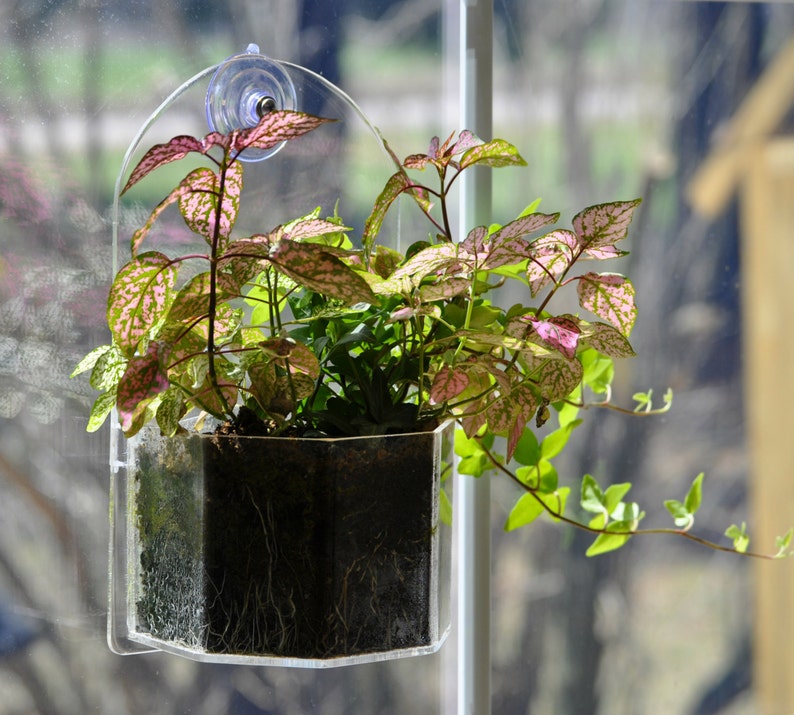 Window Planter Grow Plants Indoors and Outdoors from Your Window or Wall image 2