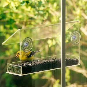 Window Feeder by Peters Feeders: Brings the birds up close for great bird watching fun.