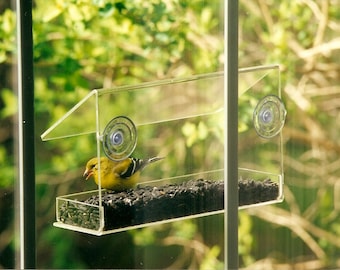 Comedero para pájaros de acrílico transparente para ventana: Observación de  aves de cerca