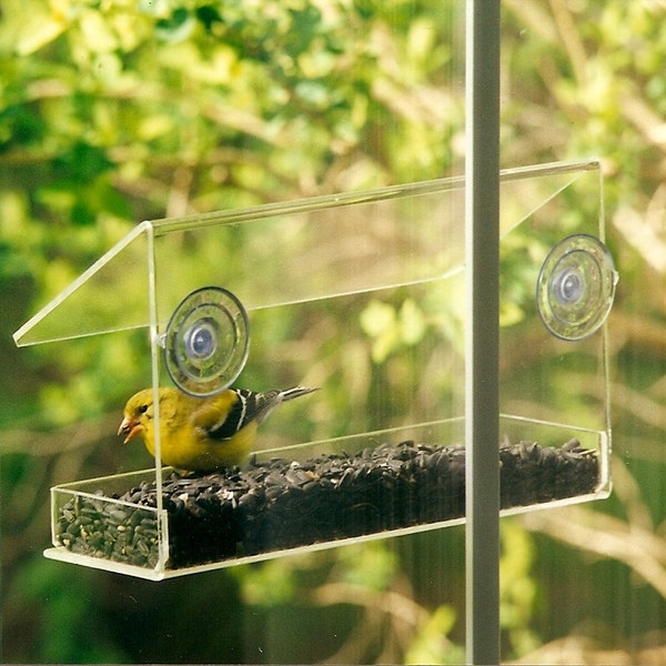 Mangeoire pour fenêtre de Peters Feeders : rapproche les oiseaux pour un plaisir d'observer les oiseaux.