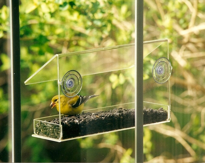 Mangeoire pour fenêtre de Peters Feeders : rapproche les oiseaux pour un plaisir d'observer les oiseaux.