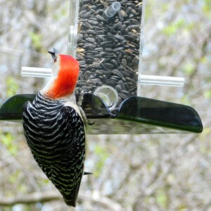 Sunflower All Purpose Feeder S-11: Versatile feeder for any seed so you can attract the widest variety of wild birds image 2