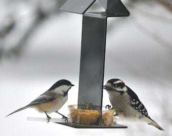 Peter's Feeders PB-31 Peanut Butter Feeder: Give your birds a healthy and delicious treat without the mess.