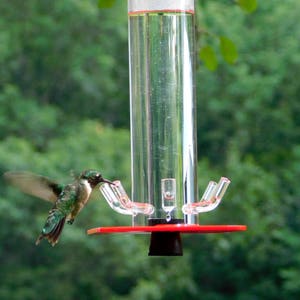 Hummingbird Feeder HB-1 by Peter's Feeders: The unique design let's you actually see the birds drinking. image 3