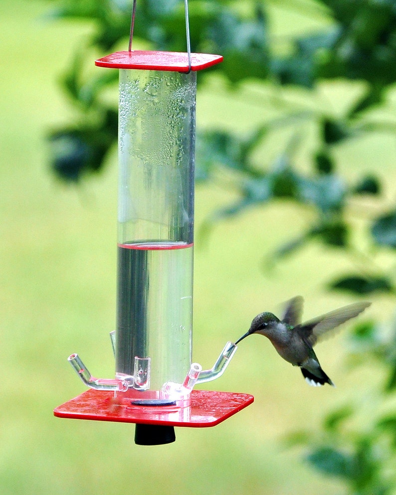 Hummingbird Feeder HB-1 by Peter's Feeders: The unique design let's you actually see the birds drinking. image 2