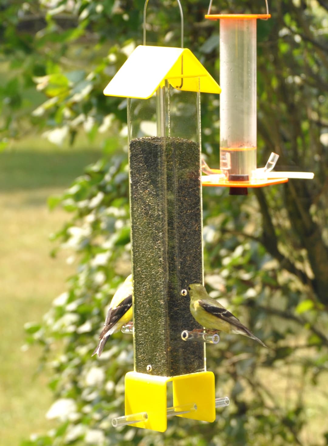Peter's Feeders T01 Finch Feeder the Economical and Effective Way to