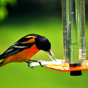 Oriole Feeder OR-1 by Peter's Feeders: This oriole feeder attracts birds like a magnet. image 1