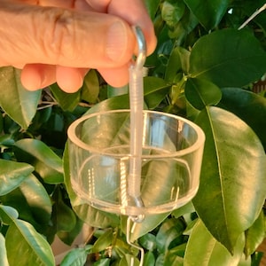 Bird Feeder Ant Trap: Natural Ant Deterrent