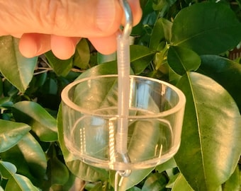 Bird Feeder Ant Trap: Natural Ant Deterrent