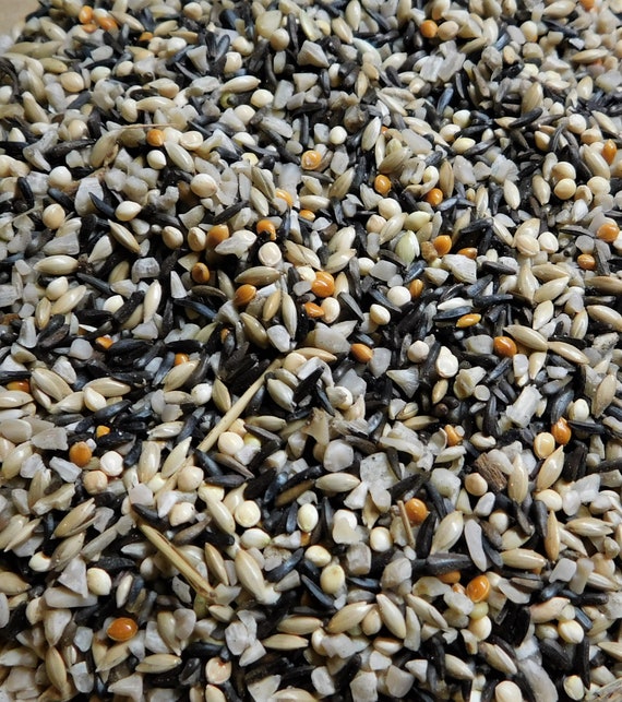 Finch Feast Bird Seed Etsy