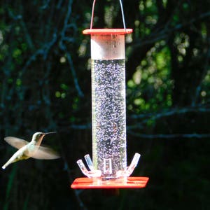 Hummingbird Feeder HB-1 by Peter's Feeders: The unique design let's you actually see the birds drinking. image 4