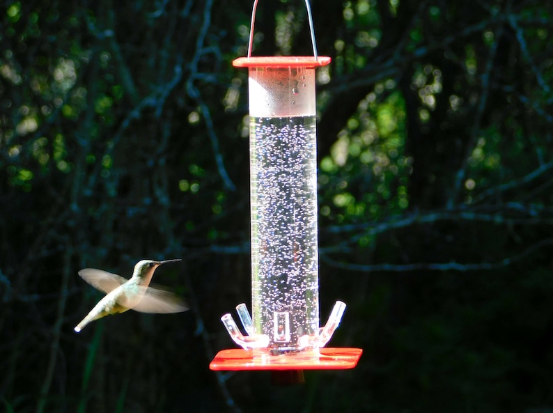 Hummingbird Feeder HB-1 by Peter's Feeders: The unique design let's you actually see the birds drinking. image 4