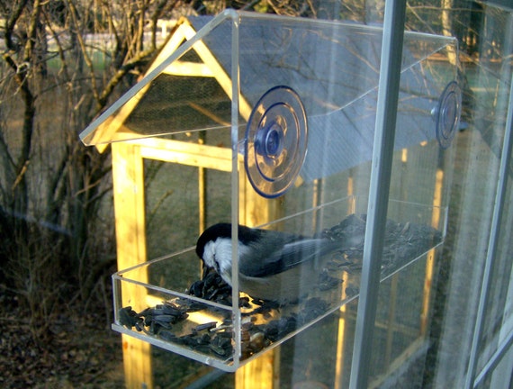 Window Feeder By Peters Feeders Brings The Birds Up Close For Etsy