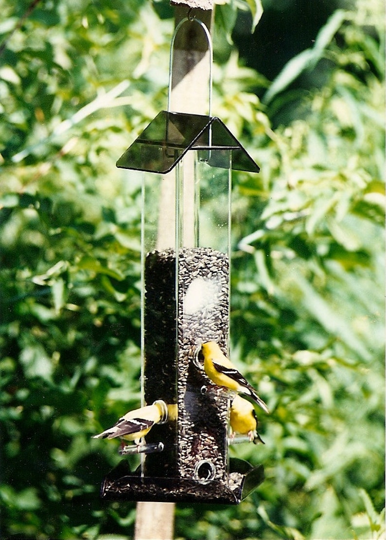 Sunflower All Purpose Feeder S-11: Versatile feeder for any seed so you can attract the widest variety of wild birds image 1