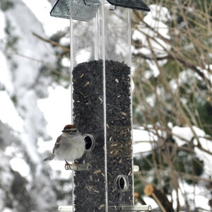 Sunflower All Purpose Feeder S-11: Versatile feeder for any seed so you can attract the widest variety of wild birds image 4