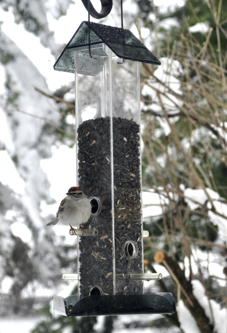 Sunflower All Purpose Feeder S-11: Versatile feeder for any seed so you can attract the widest variety of wild birds image 4