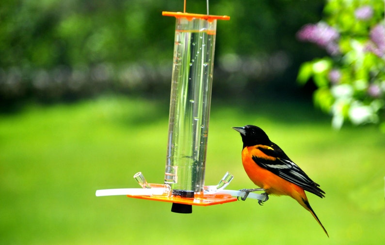 Oriole Feeder OR-1 by Peter's Feeders: This oriole feeder attracts birds like a magnet. image 2