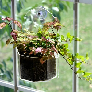 ウィンドウプランター - 窓や壁から屋内でも屋外でも植物を育てます