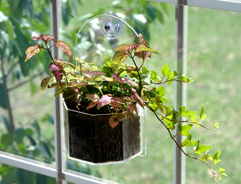 Window Planter Grow Plants Indoors and Outdoors from Your Window or Wall image 1