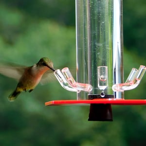 Hummingbird Feeder HB-1 by Peter's Feeders: The unique design let's you actually see the birds drinking.