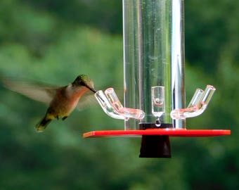 Hummingbird Feeder HB-1 by Peter's Feeders: The unique design let's you actually see the birds drinking.