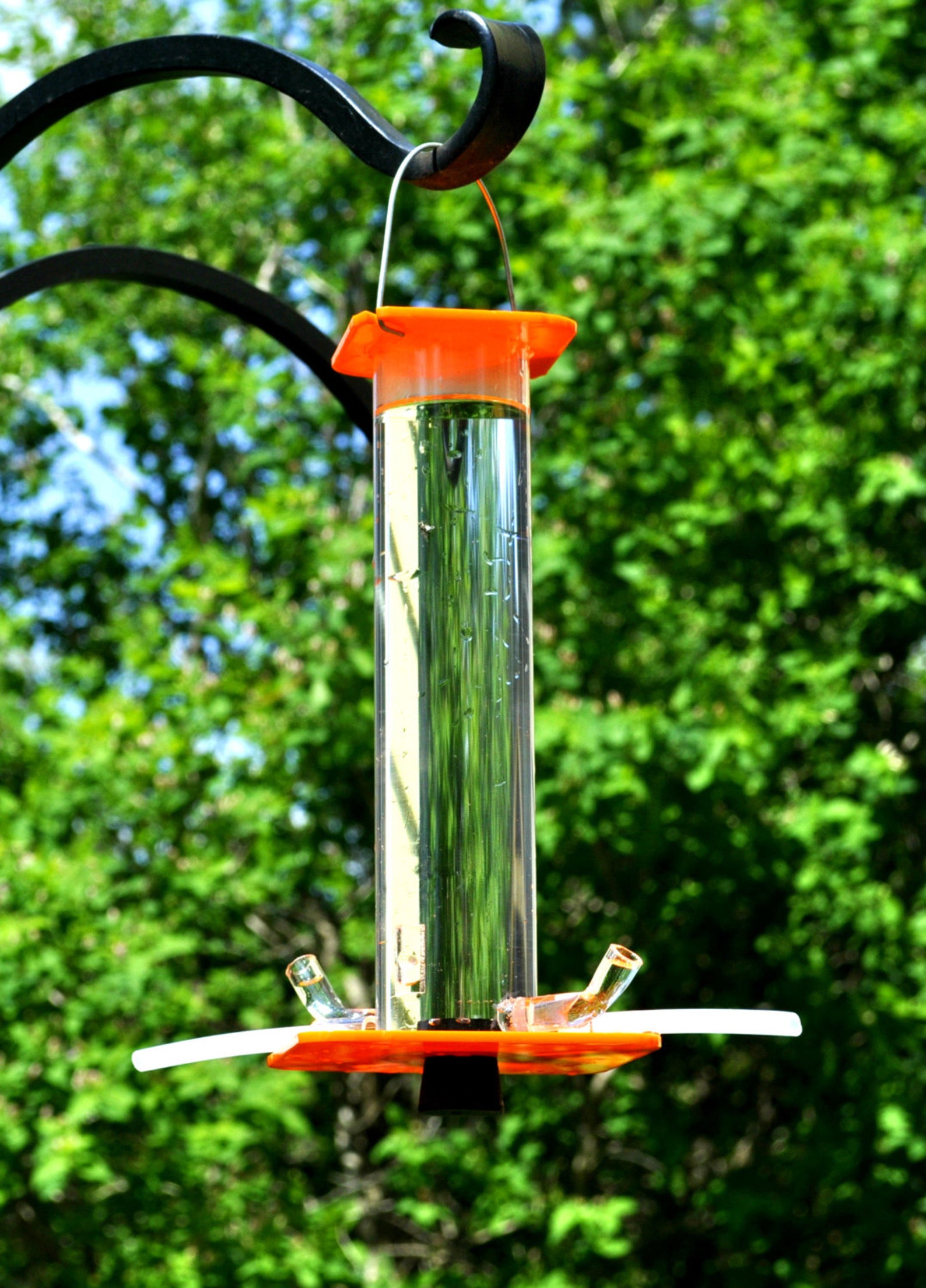 oriole feeder oriole feeder