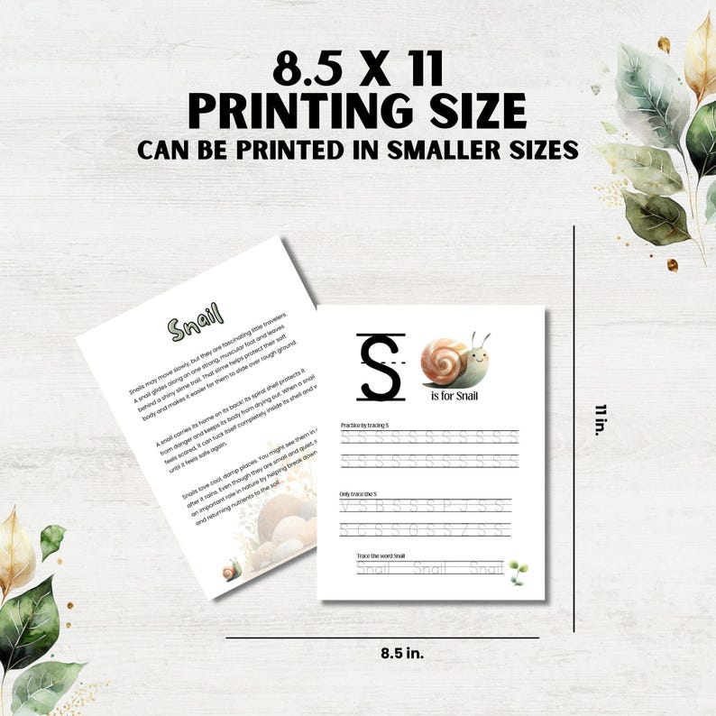 Snail Math Worksheet Snail Preschool Activity Pack: Toddler Learning Worksheets, Math ...